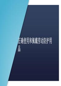 正確使用和佩戴勞動(dòng)防護用品丨32頁(yè)pptx