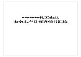 XX化工企業(yè)安全生產(chǎn)目標責任書(shū)匯編docx