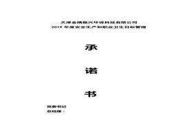 總經(jīng)理安全生產(chǎn)承諾書(shū)doc