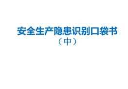 安全生產(chǎn)隱患識別口袋書(shū)(中篇)pptx