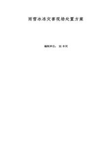 雨雪冰凍災害現場(chǎng)處置方案docx