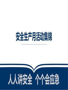 2023年安全生產(chǎn)月活動(dòng)策劃及方案集錦(46頁(yè))pptx
