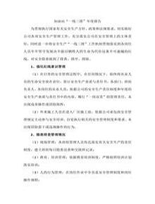 加油站“一線(xiàn)三排”年度報告doc