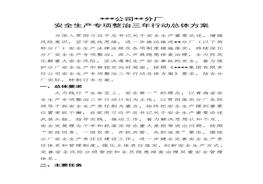 企業(yè)安全生產(chǎn)專(zhuān)項整治三年行動(dòng)總體方案(1)docx