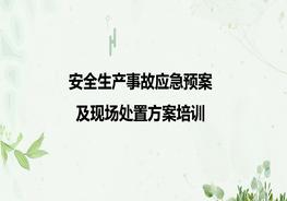 安全生產(chǎn)事故應急預案及現場(chǎng)處置方案培訓pptx