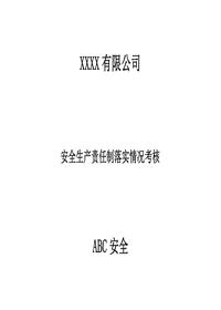 安全生產(chǎn)責任制落實(shí)情況考核方法doc