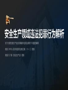 新安法下，安全領(lǐng)域違法犯罪解析（107頁(yè)）pptx