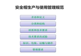 安全帽生產(chǎn)與使用管理規范pptx