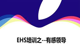 EHS培訓--有感領(lǐng)導ppt