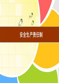 安全生產(chǎn)責任制專(zhuān)篇培訓(66頁(yè))pptx