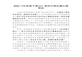 《生命重于泰山》宣傳片觀(guān)后感心得體會(huì )docx