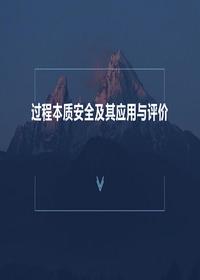 過(guò)程本質(zhì)安全及其應用與評價(jià)(51頁(yè))pptx