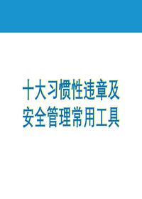 十大習慣性違章及安全管理常用工具ppt