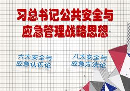 領(lǐng)會(huì )總書(shū)記公共安全與應急管理戰略思想(24頁(yè))ppt