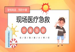 夏日高溫現場(chǎng)醫療急救中暑急救pptx