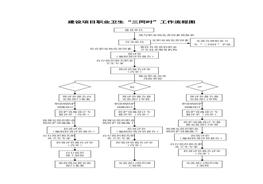 建設項目職業(yè)衛生“三同時(shí)”工作流程圖(9頁(yè))doc