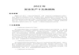2022年安全生產(chǎn)十五條措施強化安全生產(chǎn)責任落實(shí)堅決防范遏制重特大事故docx