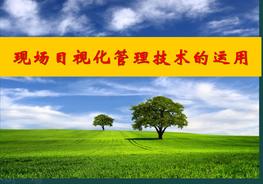 現場(chǎng)目視化管理技術(shù)的運用PPTpptx