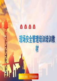 生產(chǎn)現場(chǎng)違章管理培訓和隱患分析（50頁(yè)）pptx