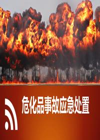 ?；肥鹿蕬碧幹门嘤枺?12頁(yè)）pptx