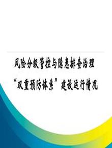 雙重預防體系建設運行情況匯報交流會(huì )(56頁(yè))pptx
