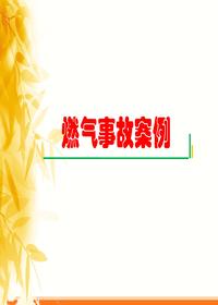 燃氣事故案例學(xué)習ppt
