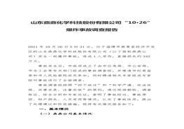 山東鼎鼎化學(xué)科技股份有限公司“10·26” 爆炸事故調查報告docx