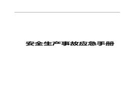 安全生產(chǎn)事故應急手冊doc