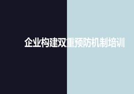 企業(yè)構建雙重預防機制培訓pptx