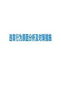 員工違章行為原因分析及對策措施丨23頁(yè)pptx
