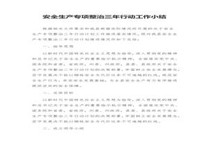安全生產(chǎn)專(zhuān)項整治三年行動(dòng)工作小結(5頁(yè))docx