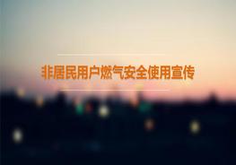 非居民用戶(hù)燃氣安全使用宣傳(45頁(yè))pptx