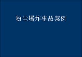 各類(lèi)粉塵爆炸事故案例分析pptx