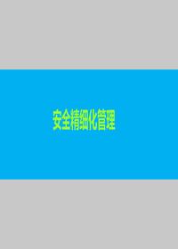世界500強安全管理精要:安全精細化管理(63頁(yè))pptx