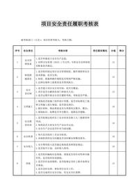 安全生產(chǎn)責任制履職考核表匯編(17頁(yè))docx
